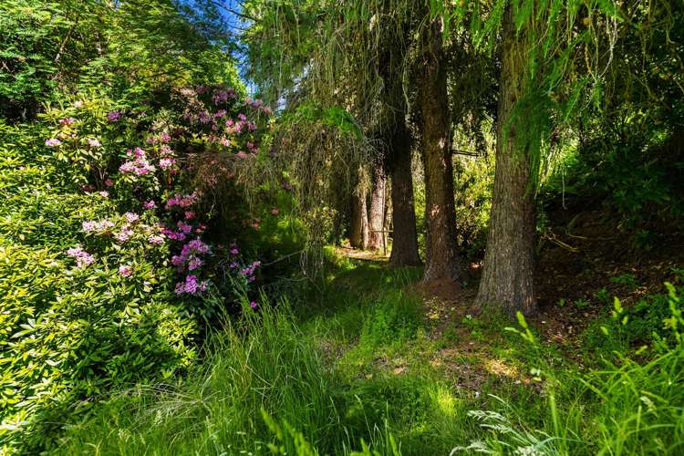 49 Hunter Road Speargrass Flat_4