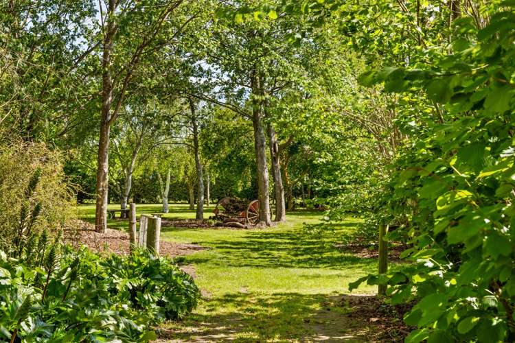 158 Murrays Road Rapaura_29