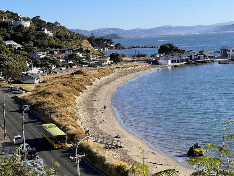 90b Awa Road Seatoun_19