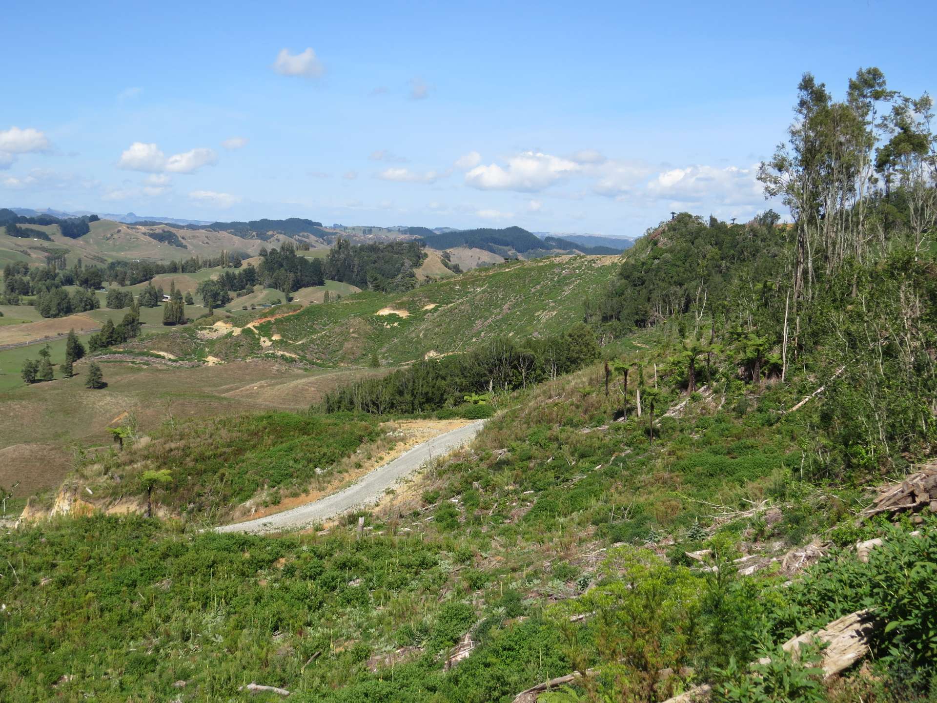 Waitomo Valley Road Otorohanga_0