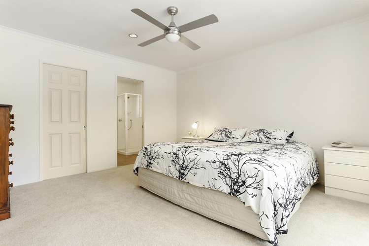 240 Pine Valley Road Dairy Flat_17