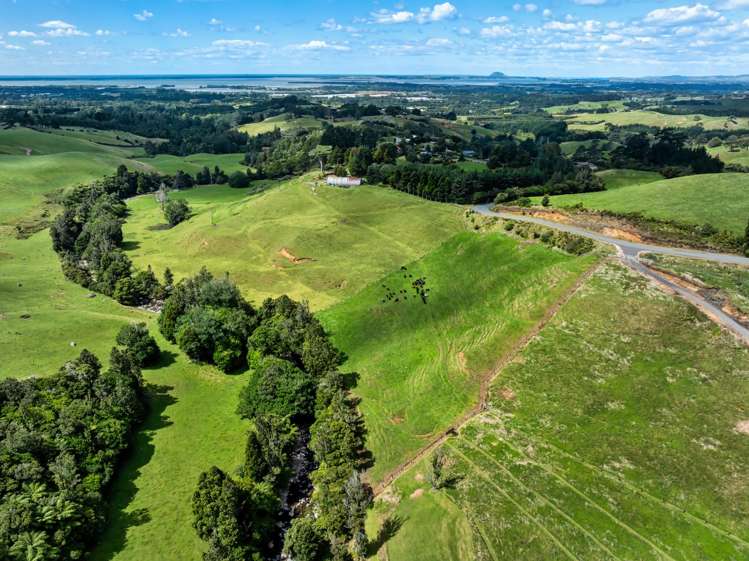 424A Hot Springs Road Katikati_35