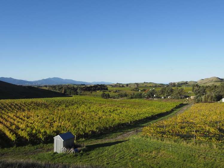 149 Wrekin Road Fairhall_12