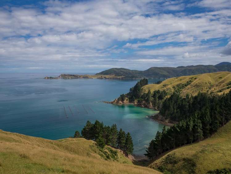 5193 Croisilles-French Pass Road Marlborough Sounds_8