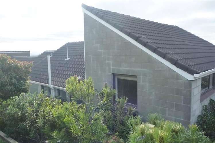 1/2 Brigid Place Mount Pleasant_12