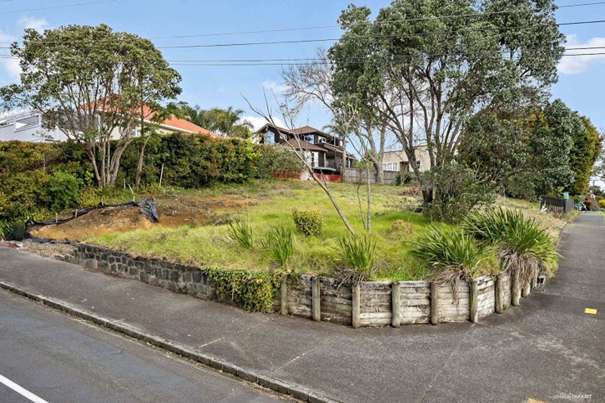 The DGZ effect: $3.81m for a bare piece of land, $4m for luxury townhouse