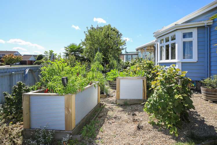 152 Mandeno Street Te Awamutu_22