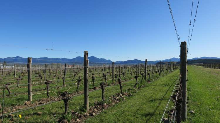 708 Waihopai Valley Road Waihopai Valley_9