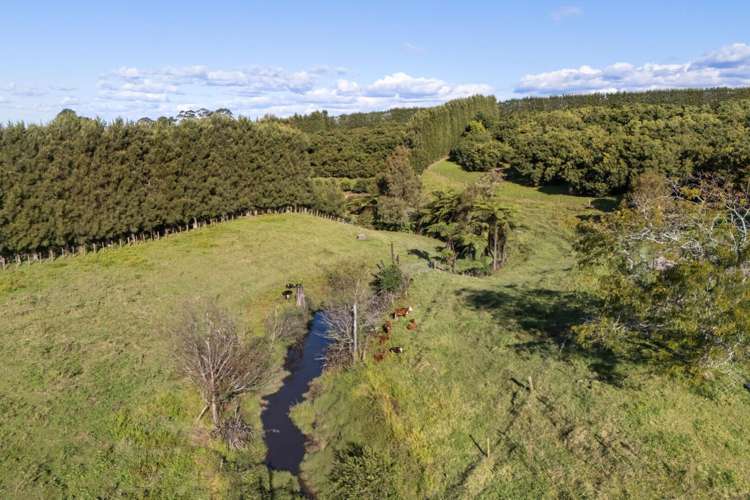 222 Wharawhara Road Katikati_15