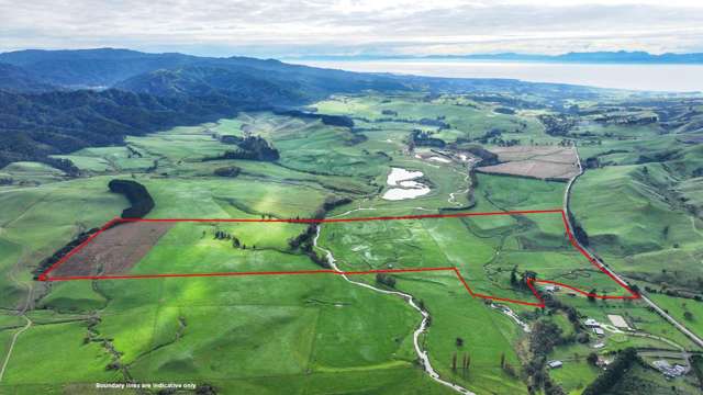 976 Kaiaua Road Kaiaua_4