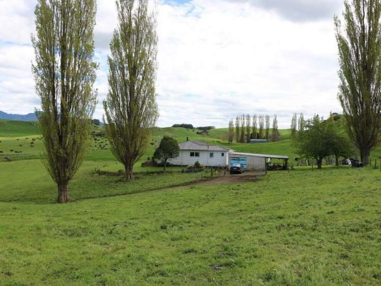 196 Hildreth Road Arapuni_49