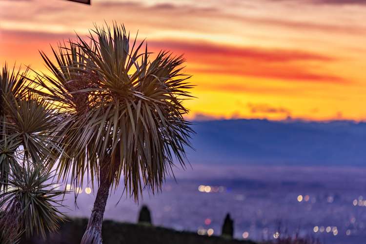 27 Harry Ell Drive Cashmere_29