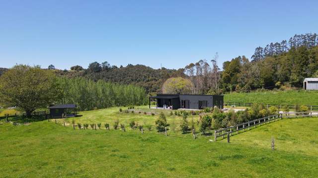 517 Paradise Valley Road Ngongotaha Valley_4