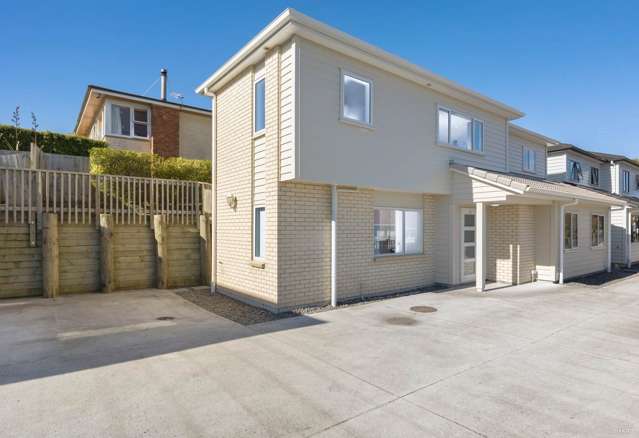 29a Grassways Avenue Pakuranga_1