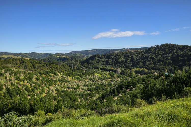 Lot 3, 163 Ahuroa Road Puhoi_17