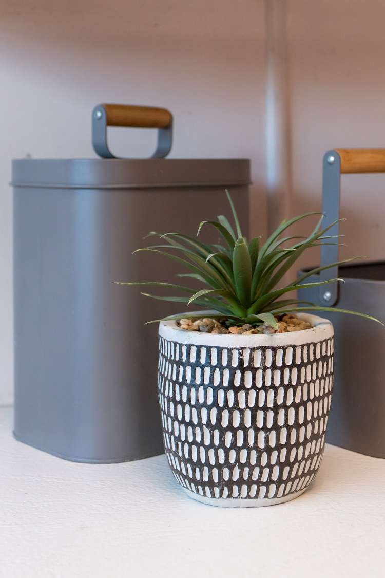 709 Main South Road Islington_16