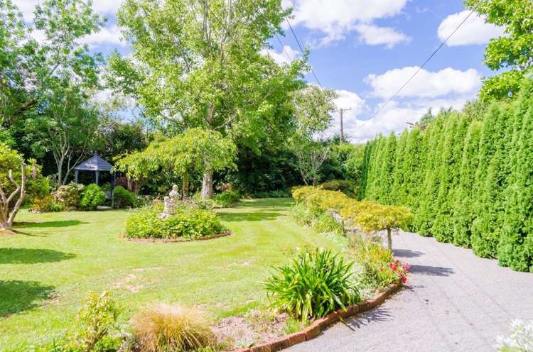 10 Oates Place Greytown_2