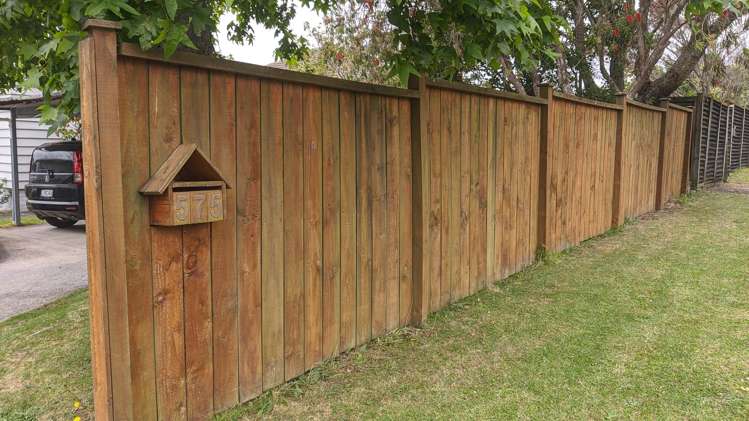 575 Hillsborough Road Mount Roskill_11