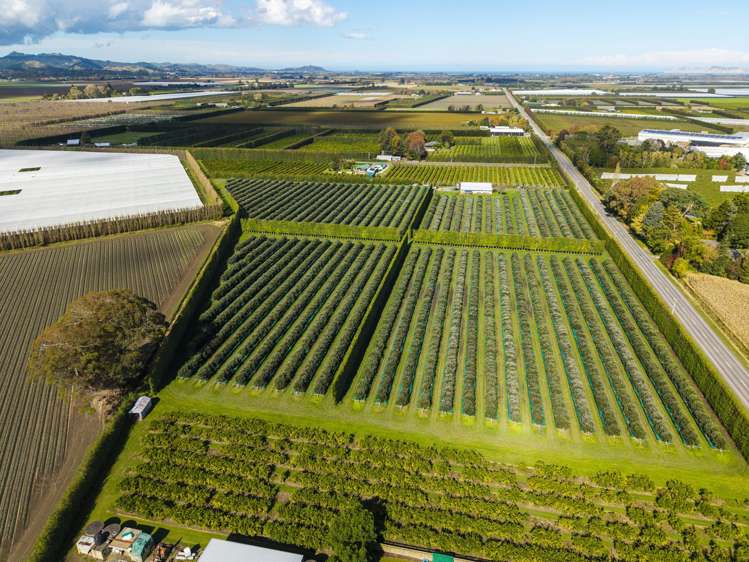 590 Matawai Road Waerengaahika_6