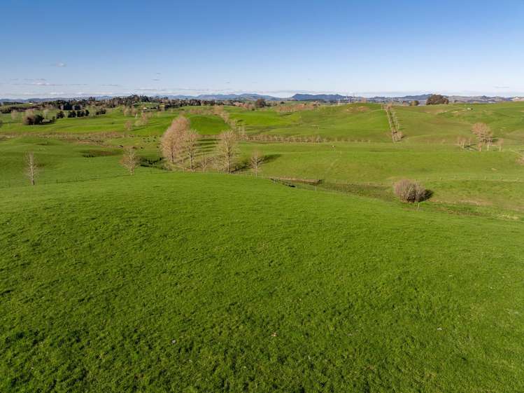 819 Waikokowai Road Ruawaro_14