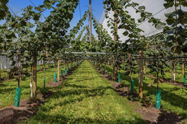 565 Western Drain Road Edgecumbe_3