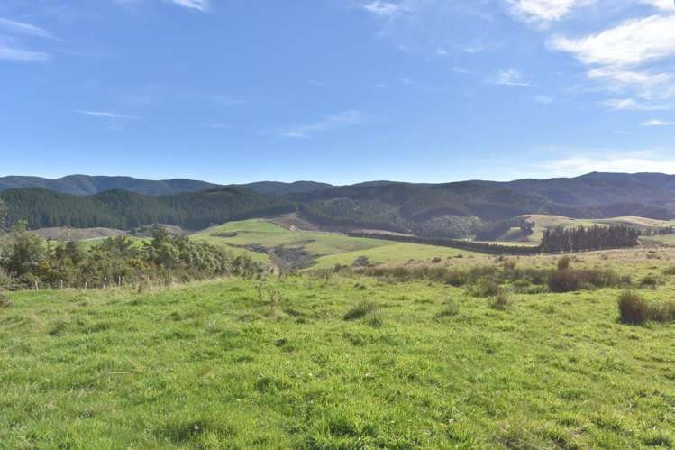 1588 Birch Hill Road Glentui_5