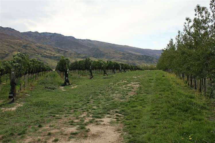 12 Macmillan Lane Cromwell_8