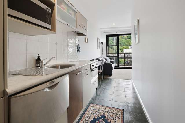 3n/154 The Terrace Wellington Central_3