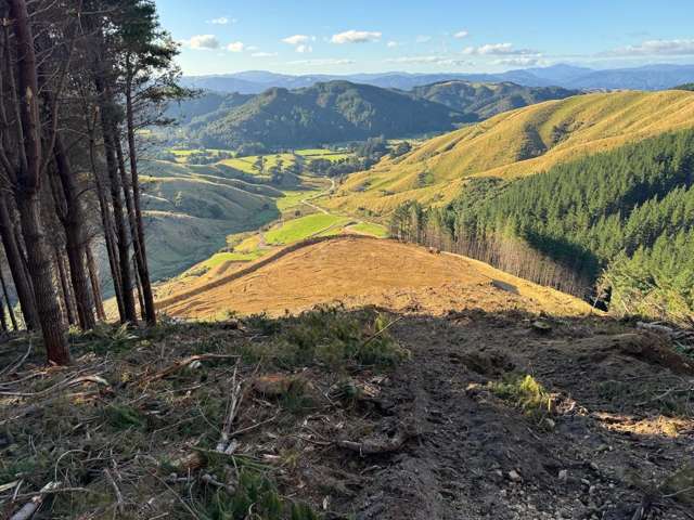 127 Russells Road Whitemans Valley_1