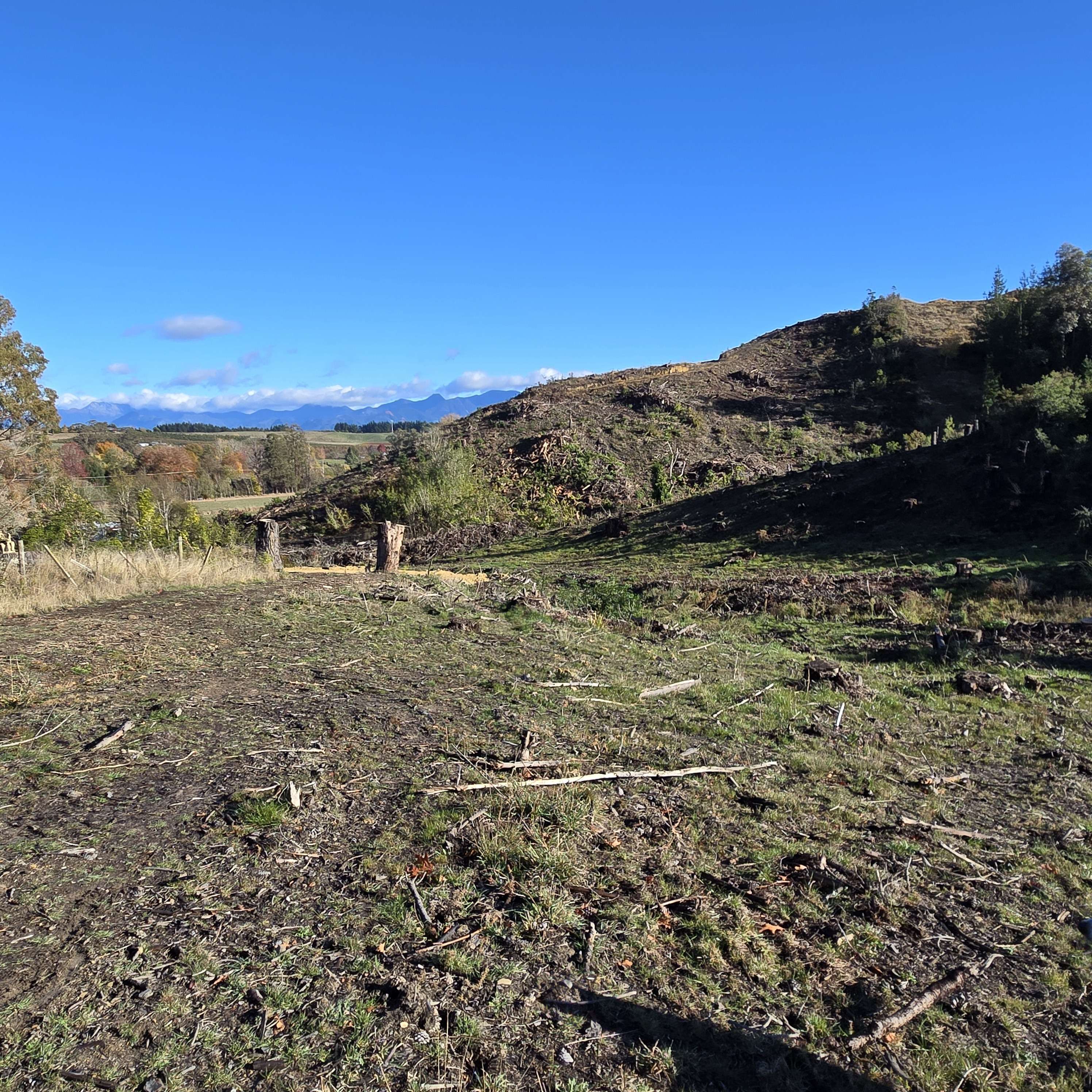 258A Aporo Road Tasman Tasman Rural Property For Sale One Roof