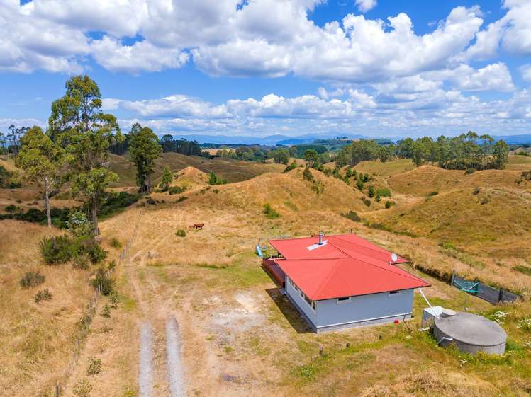 391 Otake Road Kinloch_28