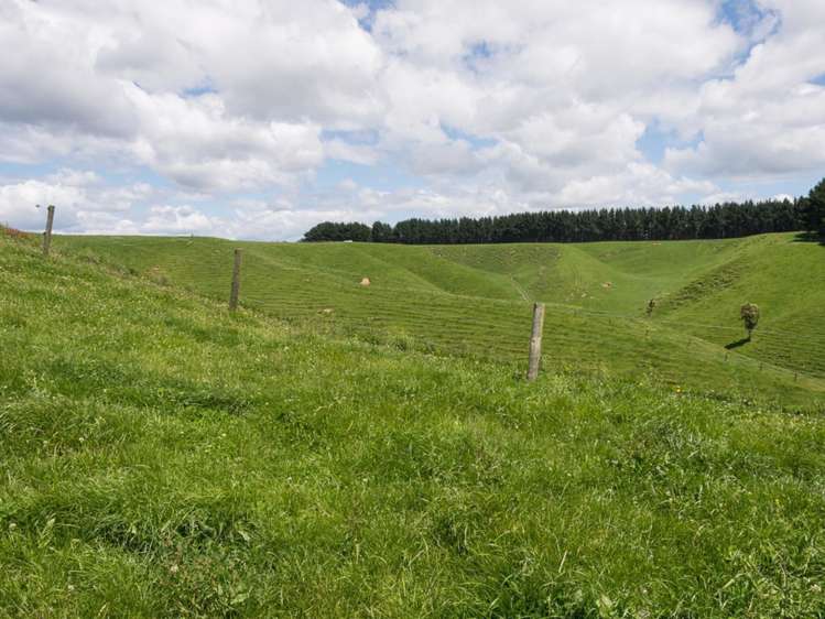 519 Otamarakau Valley Road Pukehina_5