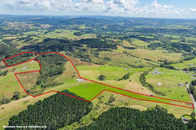 90 Valley Road Waitoki_1