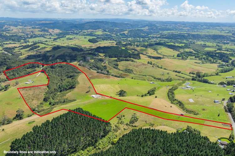 90 Valley Road Waitoki_1