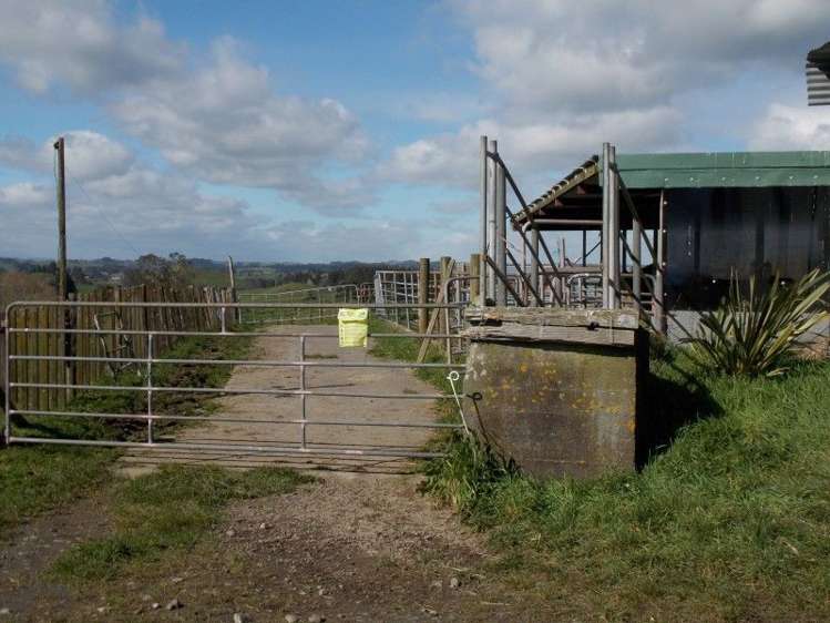 222 Lincoln Road Inglewood_16