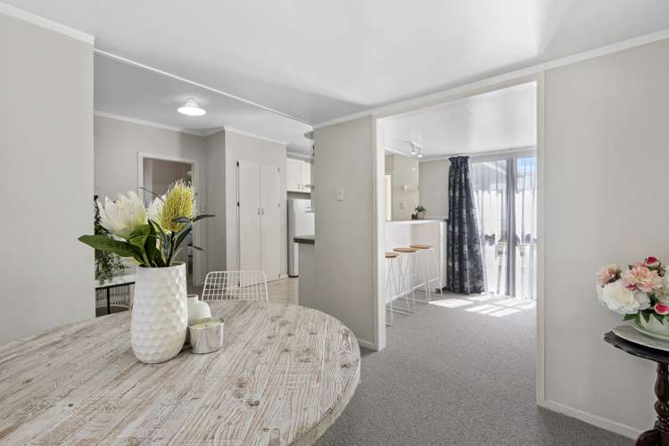 27 Maitland Street Greerton_5