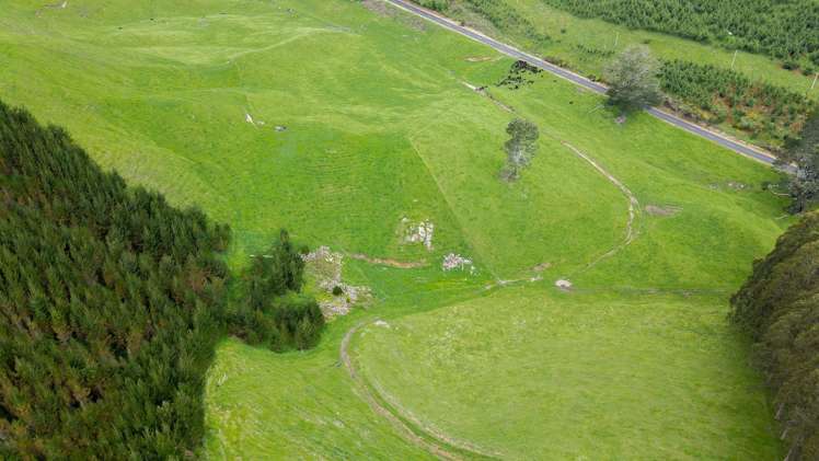 Lot 2 Te Kopia Road_5