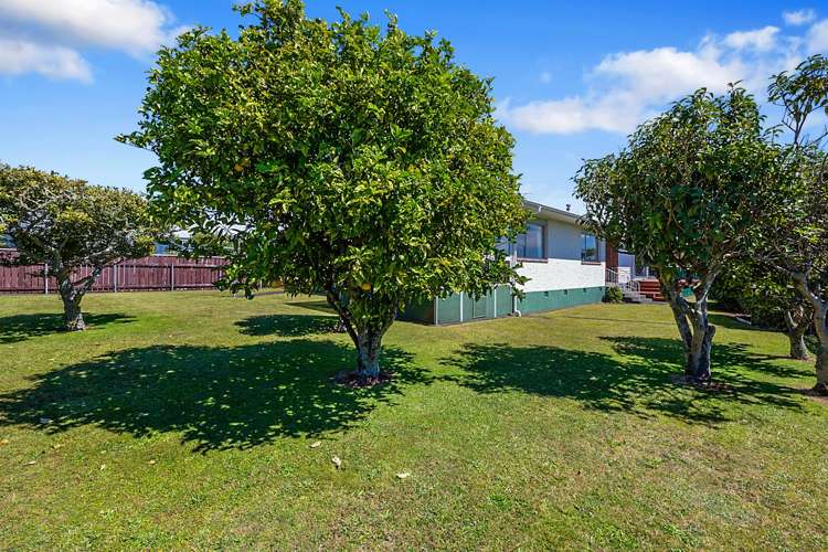 43 Nevada Drive Merrilands_19