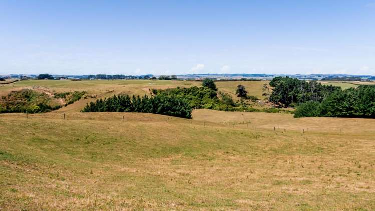 0n Douglas Street Sections Hawera_12