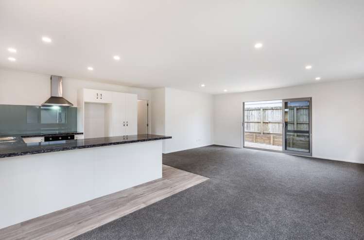 131c Elizabeth Street Tauhara_10