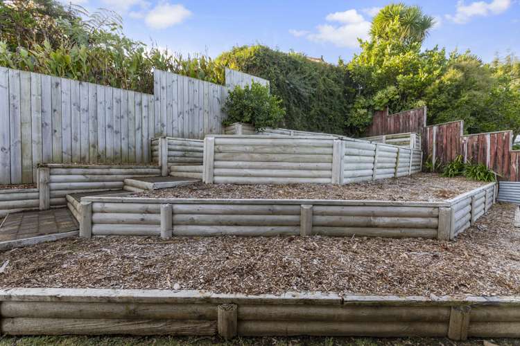 5 Heaphy Street Westown_23