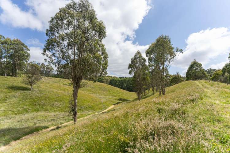 173A Otake Road Kinloch_9