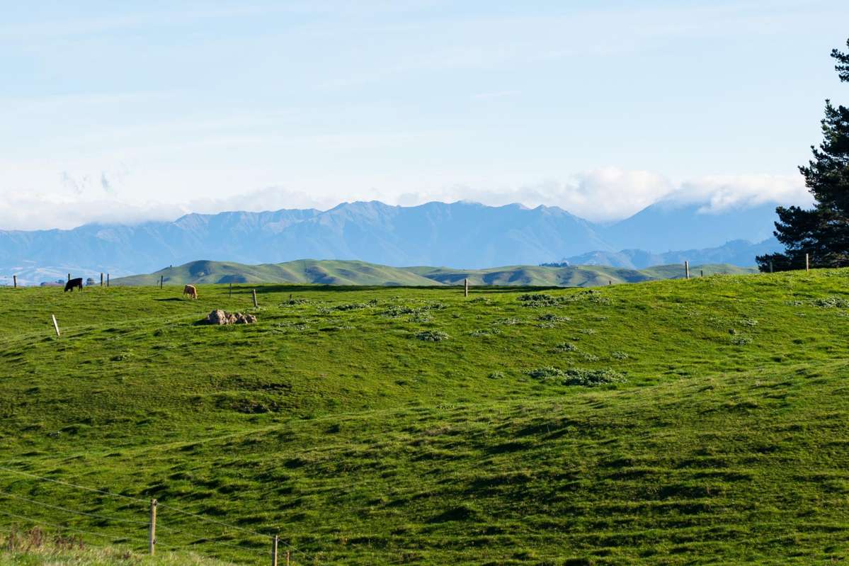 Lot 2, 876 Whakapirau Road_3