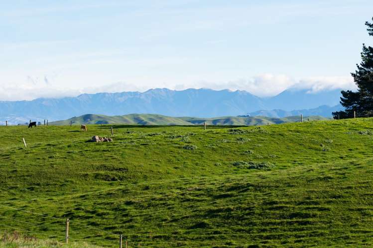 Lot 2 876 Whakapirau Road_7