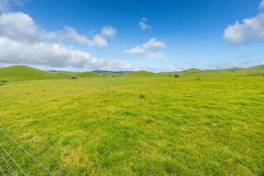 740D Tainui Road_1