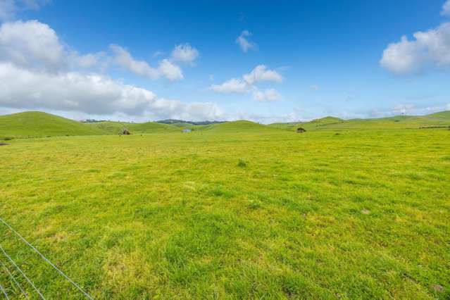 740D Tainui Road Hoe-o-tainui_1