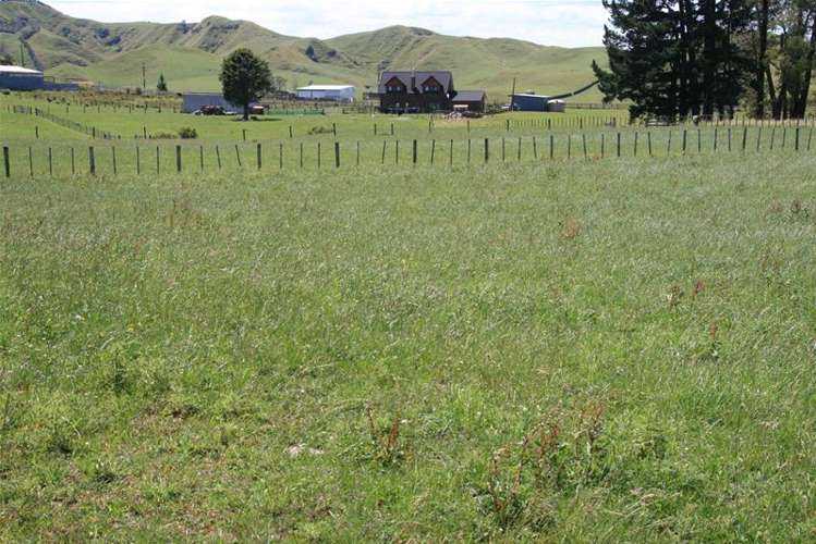 85 Gordon Road Stratford_5