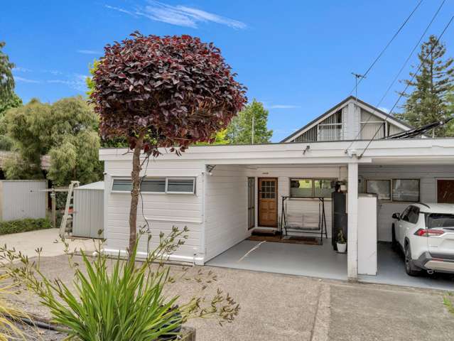 Charming Lockwood Home with Cabin