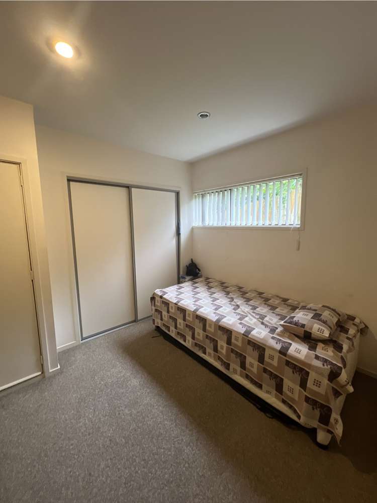 3A Katavich Place Mount Roskill_5