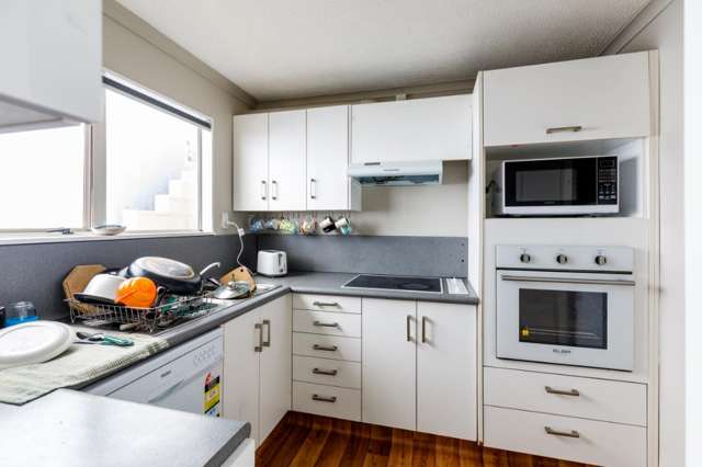 4b Macdonald Crescent Te Aro_3